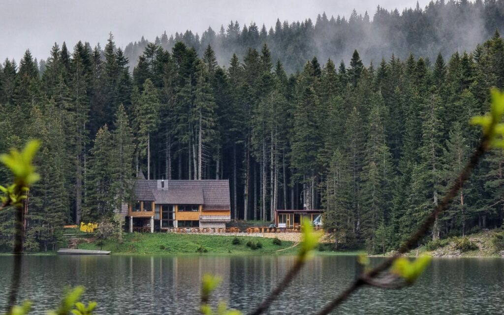 a wooden house near green trees and lake